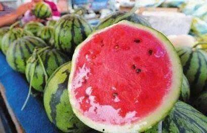 冰西瓜吃瓜视频